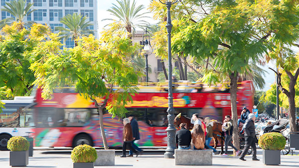 Stadtrundfahrten mit dem Bus durch Palermo