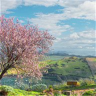 Überwintern in Palermo