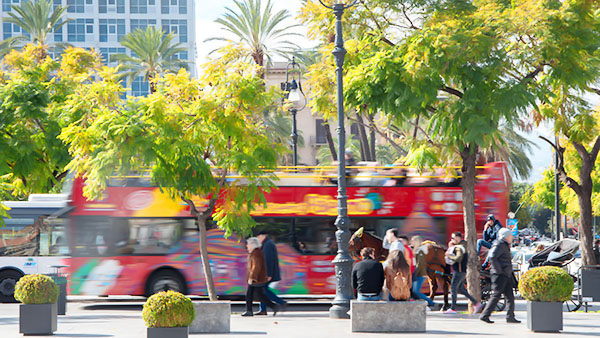 Discovering Palermo by bus