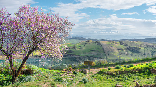 Palermo in Winter